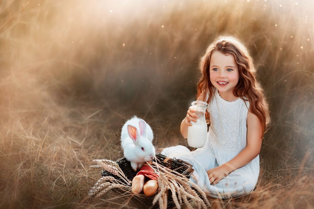 an afternoon in the wheat field (2)