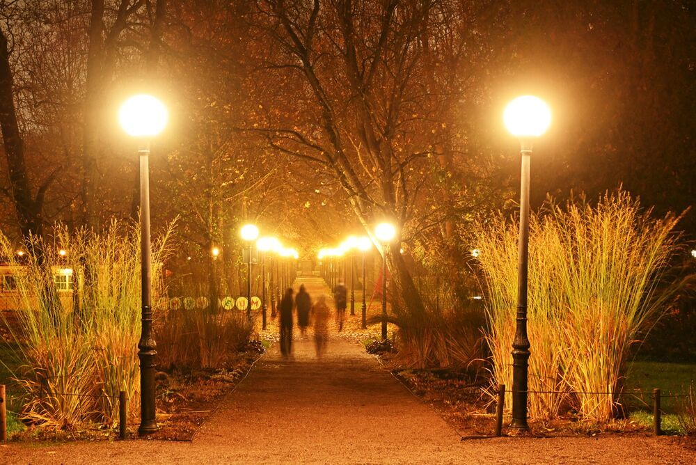 Autumn mood (2)
