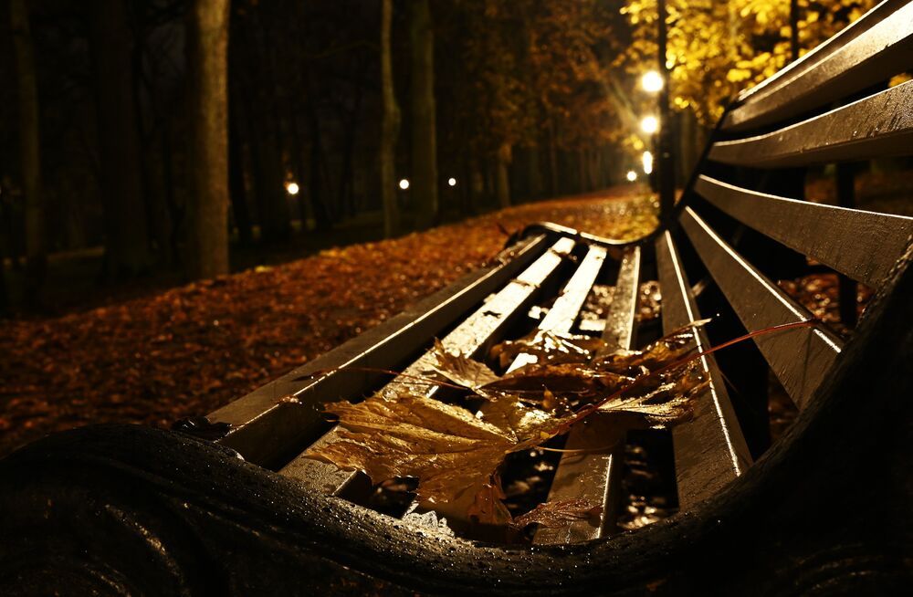 Autumn mood (3)