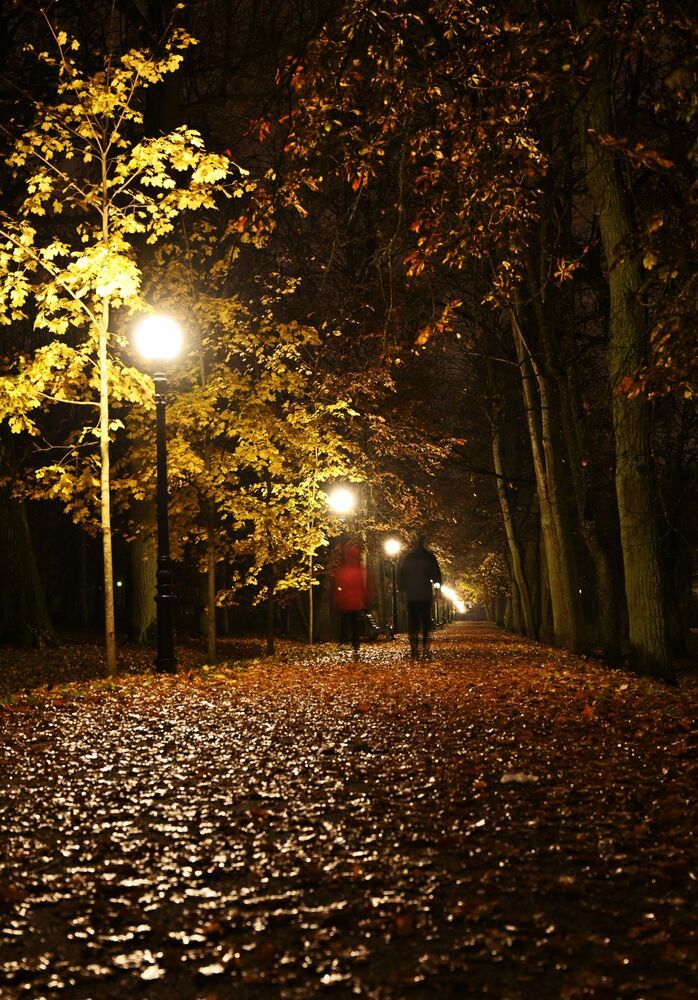 Autumn mood (4)