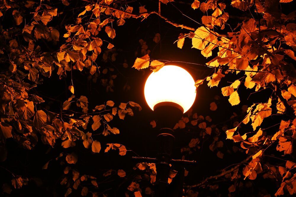Autumn mood (6)