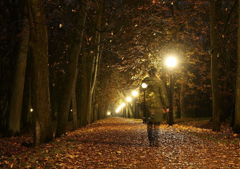 Autumn mood (8)