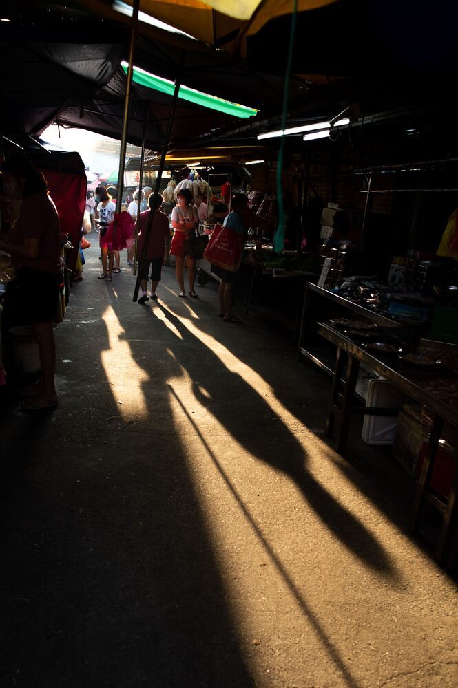 Light and Shadows (2)