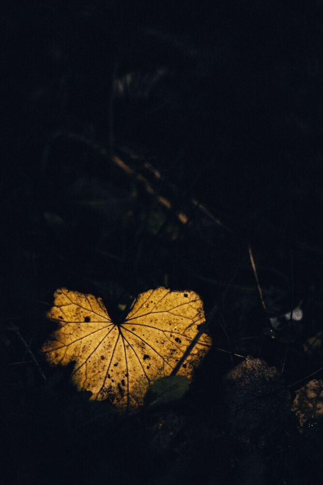 Про осень (7)