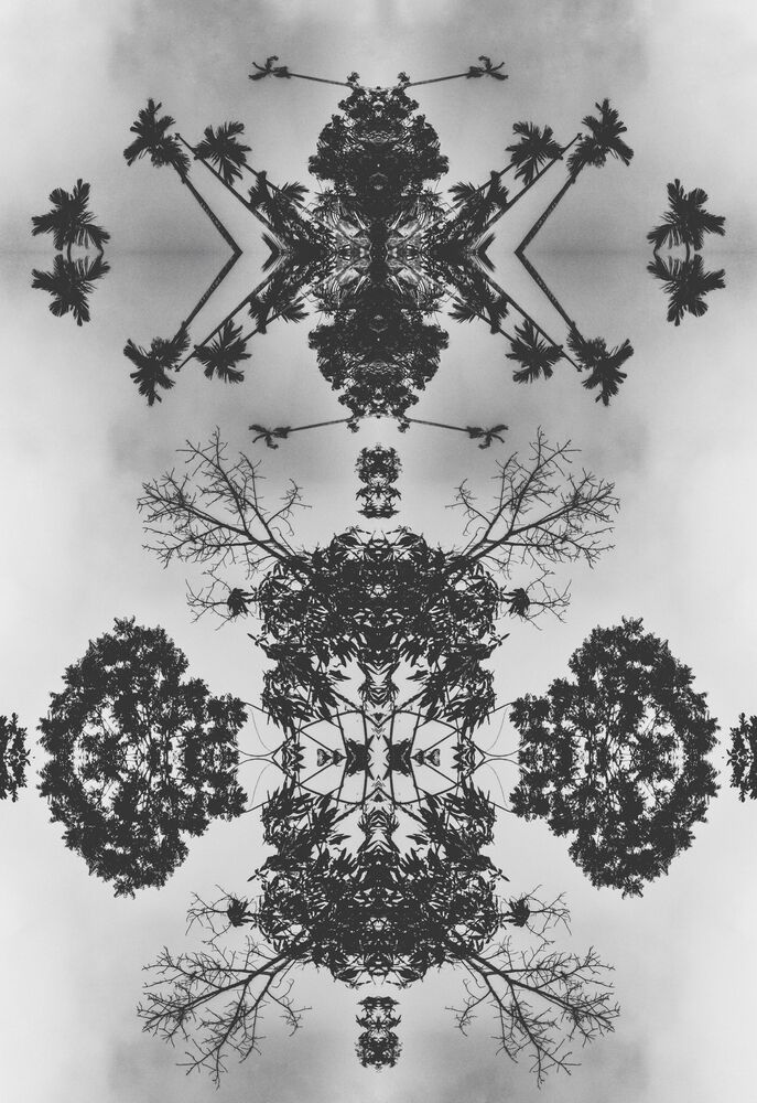 Circle of Willis (3)
