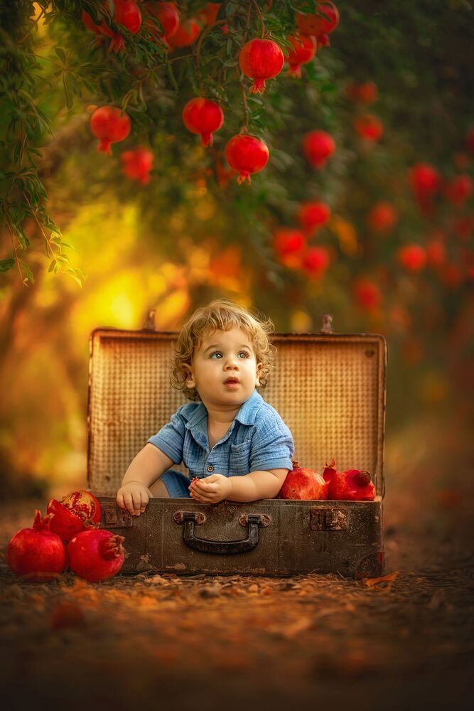 Photo #9973780 (4)