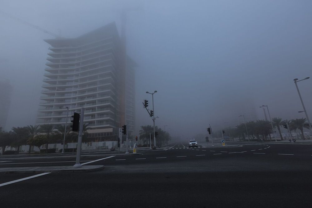 Blanket of fog (6)