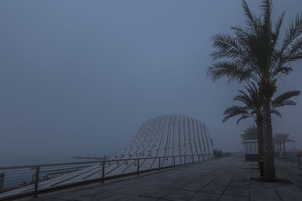 Blanket of fog (4)