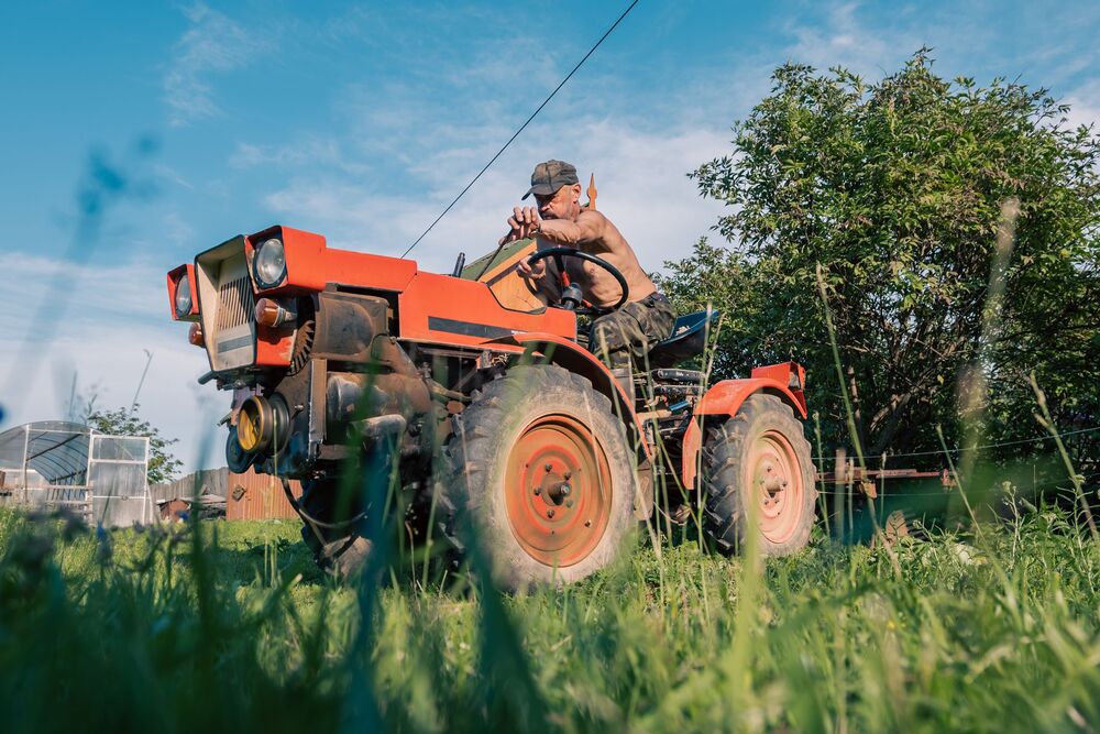 Farm (7)