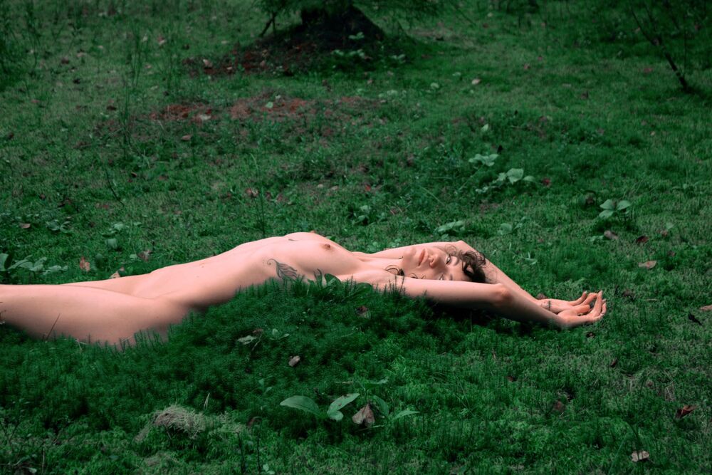 Dryad (2)