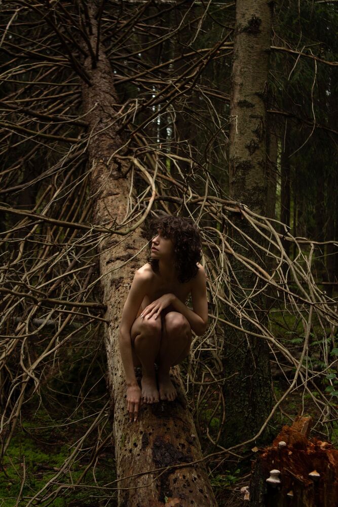 Dryad (4)