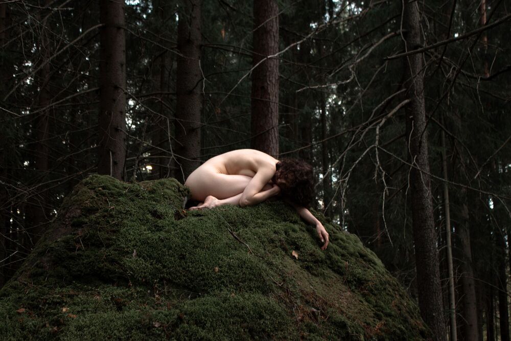 Dryad (5)