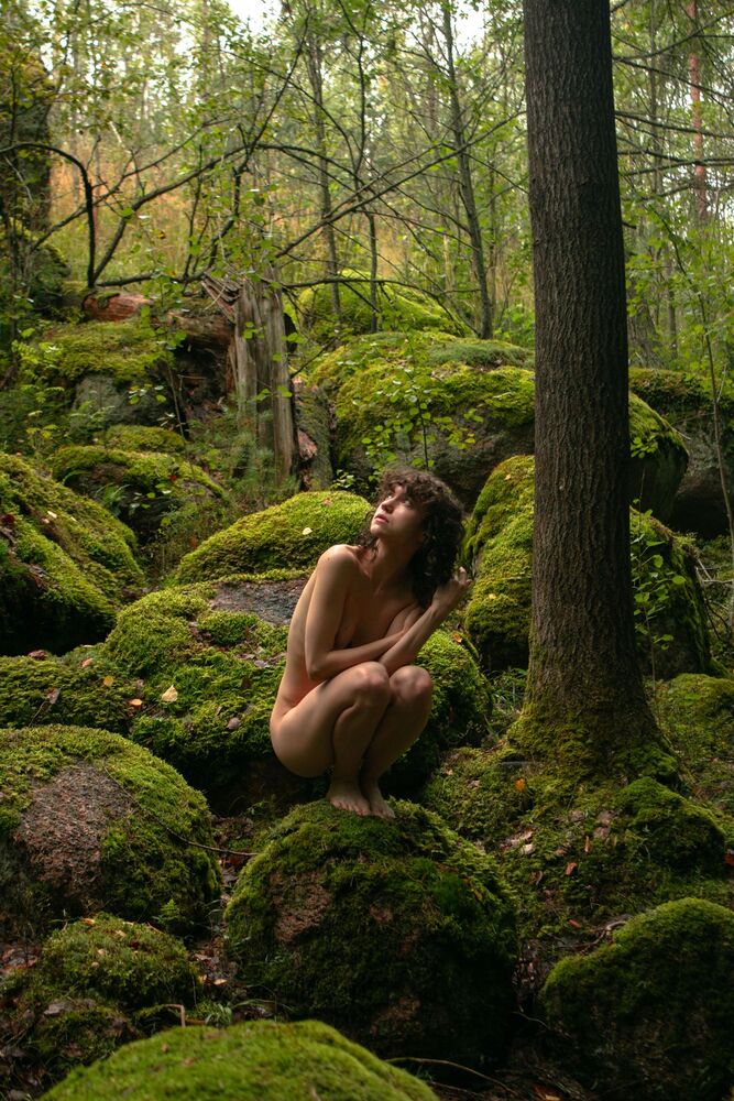 Dryad (7)