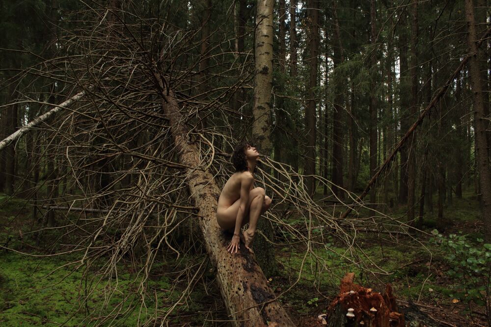Dryad (8)