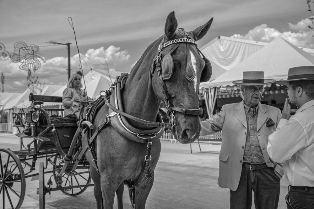 Feria (2)