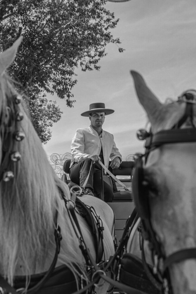Feria (3)