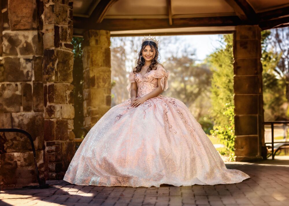 Beautiful Princess (3)