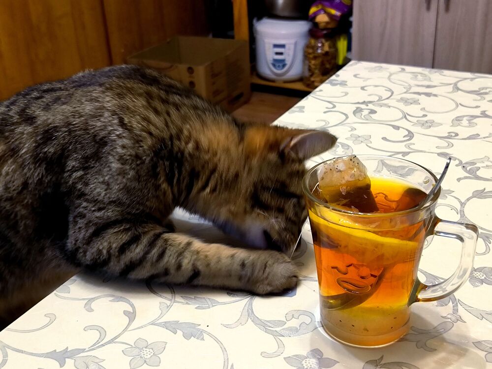 I love tea bags... (8)