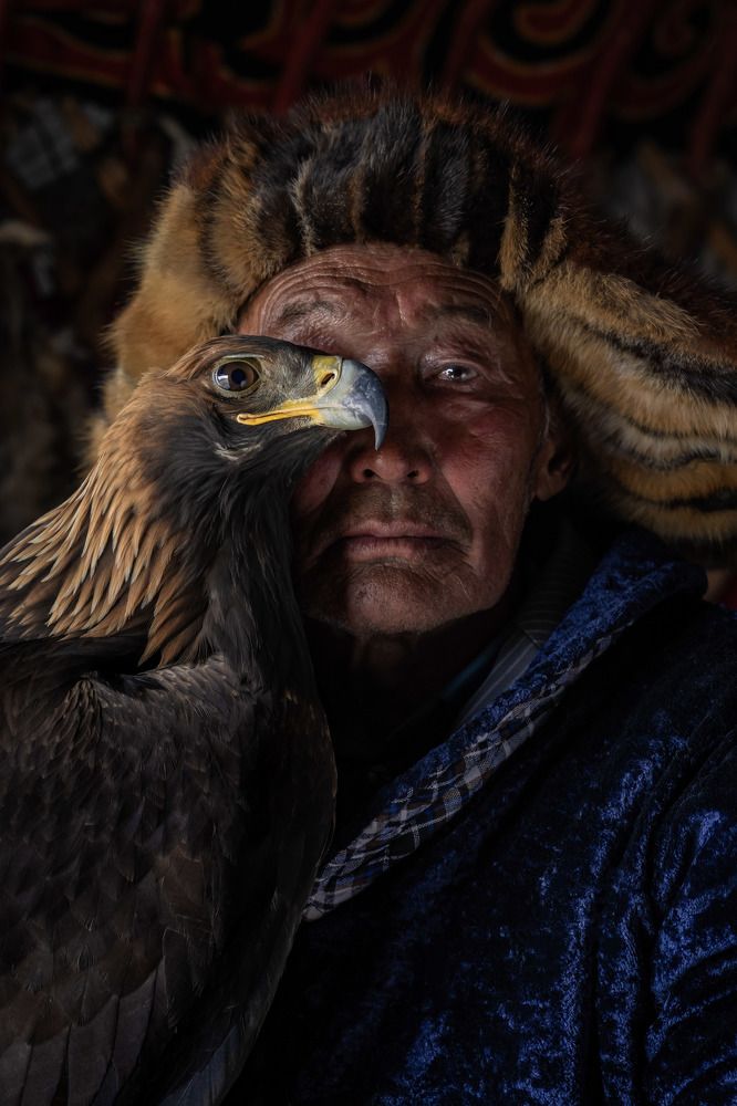The Berkutchi of Mongolia (4)