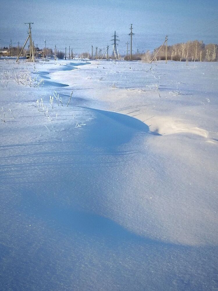 Сибирская природа (6)