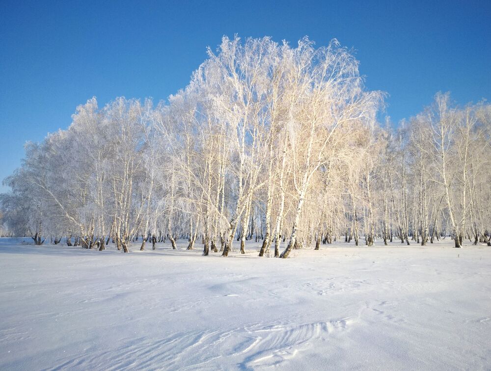 Сибирская природа (3)