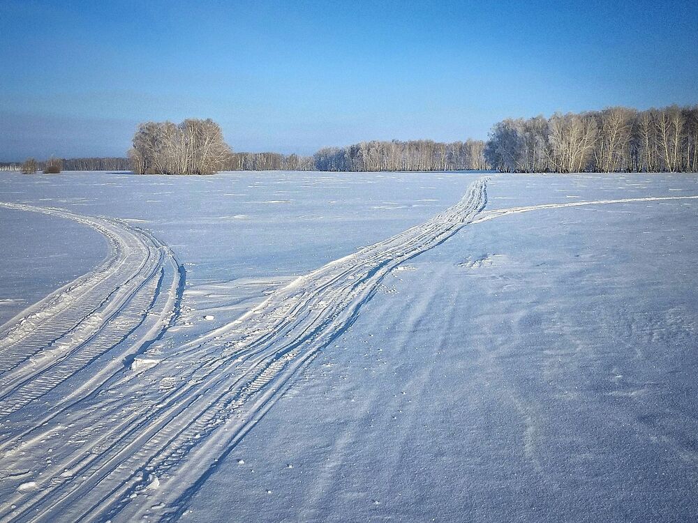 Сибирская природа (9)