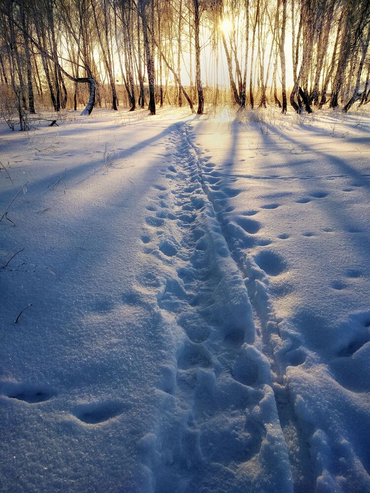 Сибирская природа (10)