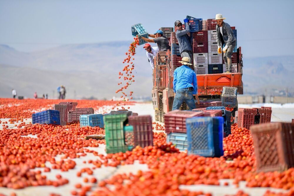 doğal yaşamdan fotoğraflar (3)