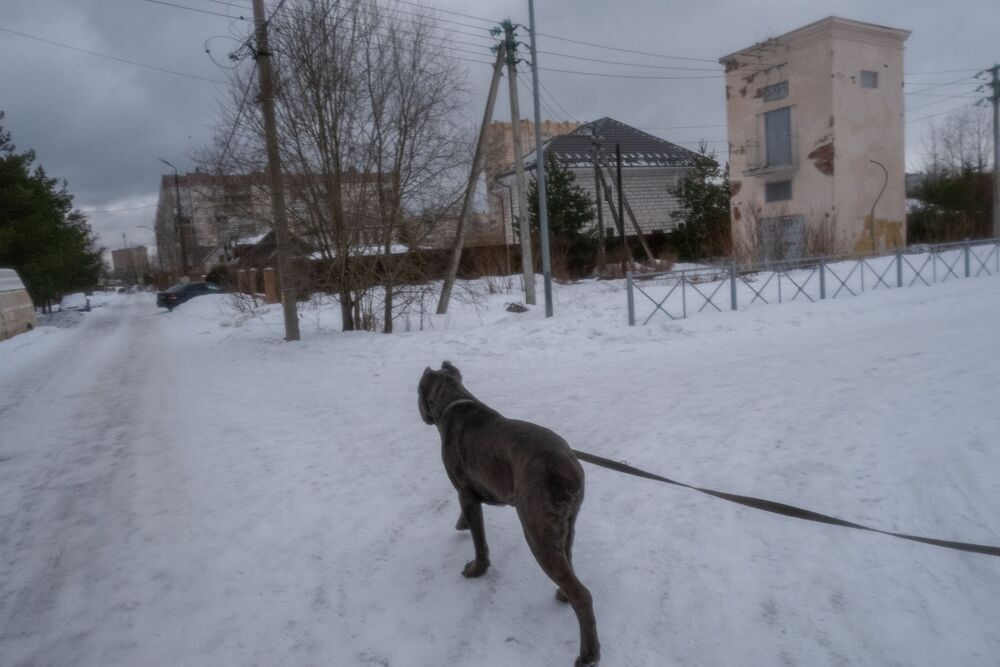 «Жилье и городская среда» (6)