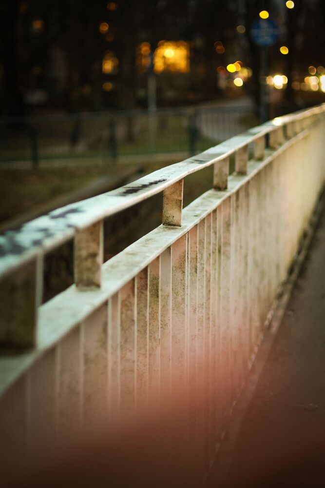 Photo #10265560 (3)