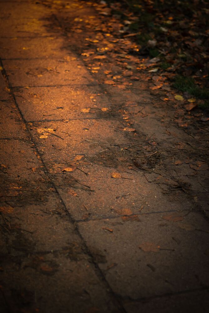 Photo #10265560 (4)