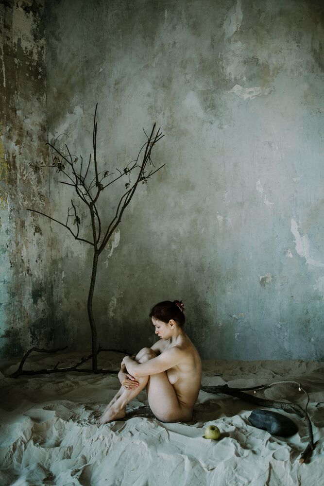 Photo #10268778 (3)