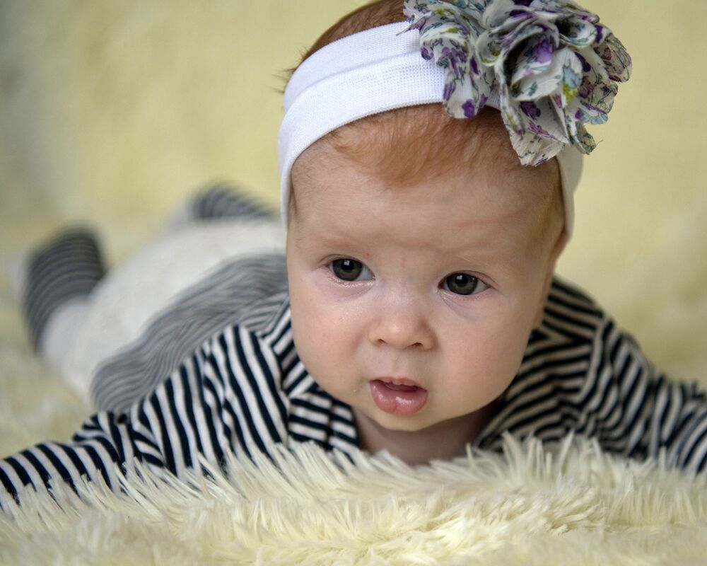 Photo #10275540 (3)