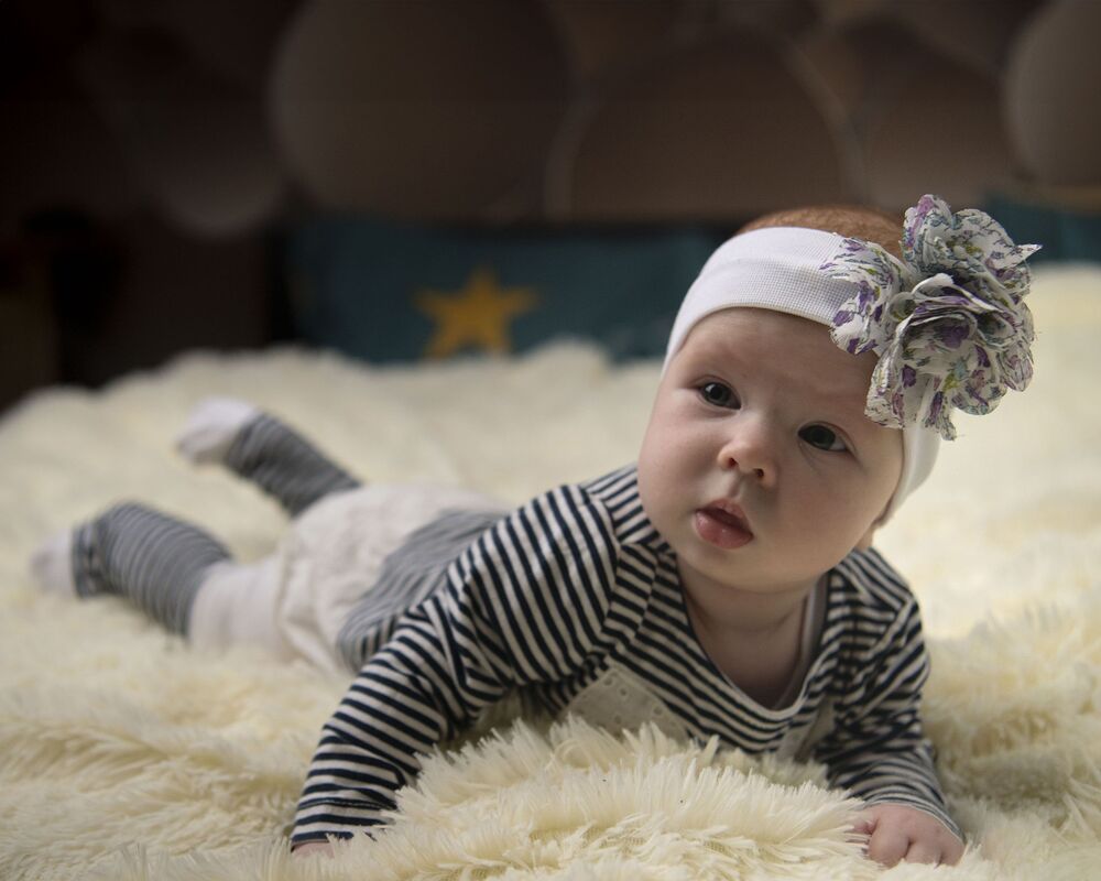 Photo #10275540 (5)