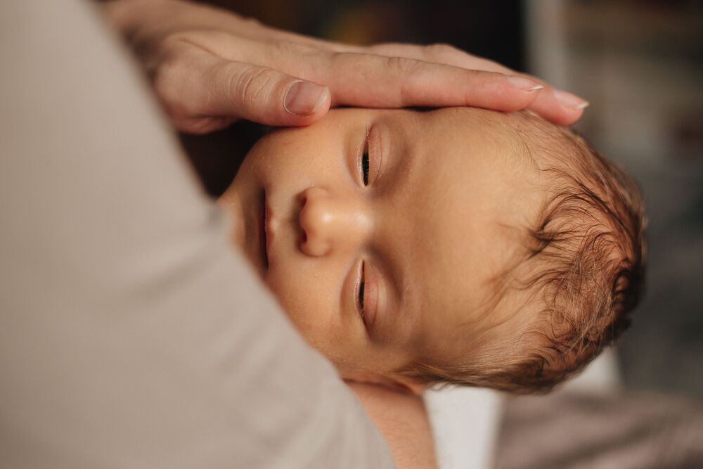 Photo #10288923 (2)
