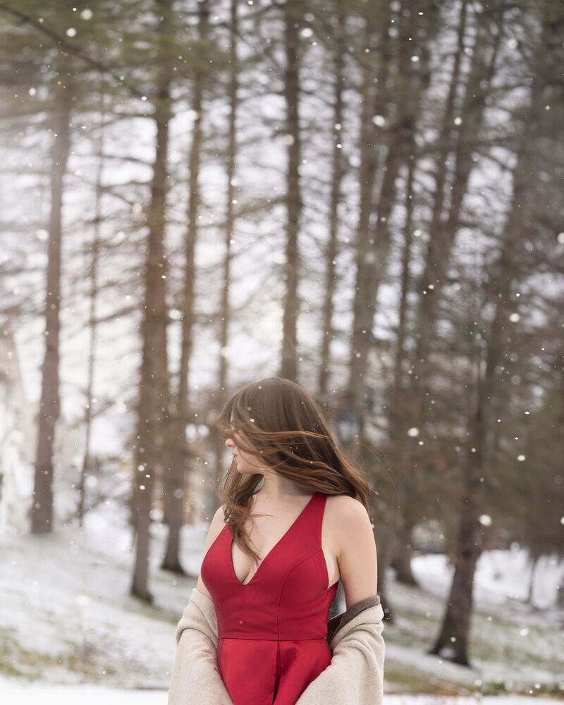 Photo #10292761 (5)