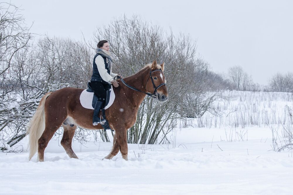Photo #10300182 (2)