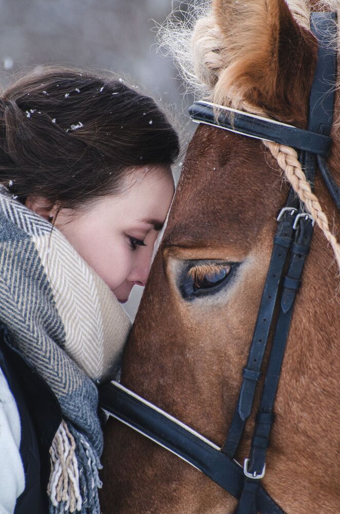 Photo #10300182 (5)