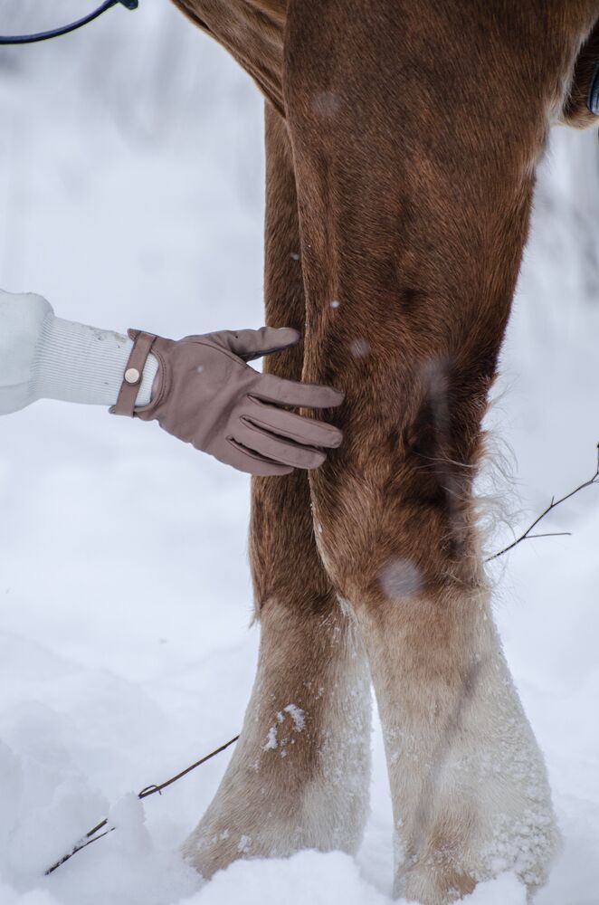 Photo #10300182 (7)
