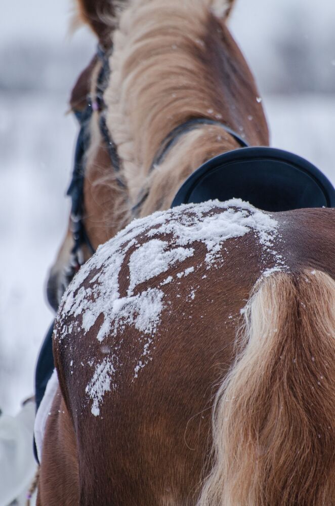 Photo #10300182 (8)