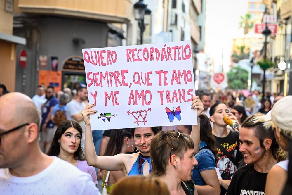 Desfila del día del orgullo (9)