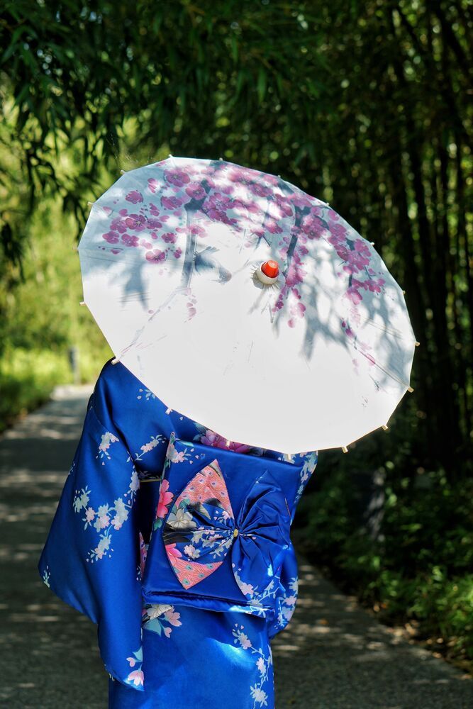 Photo #10333489 (7)