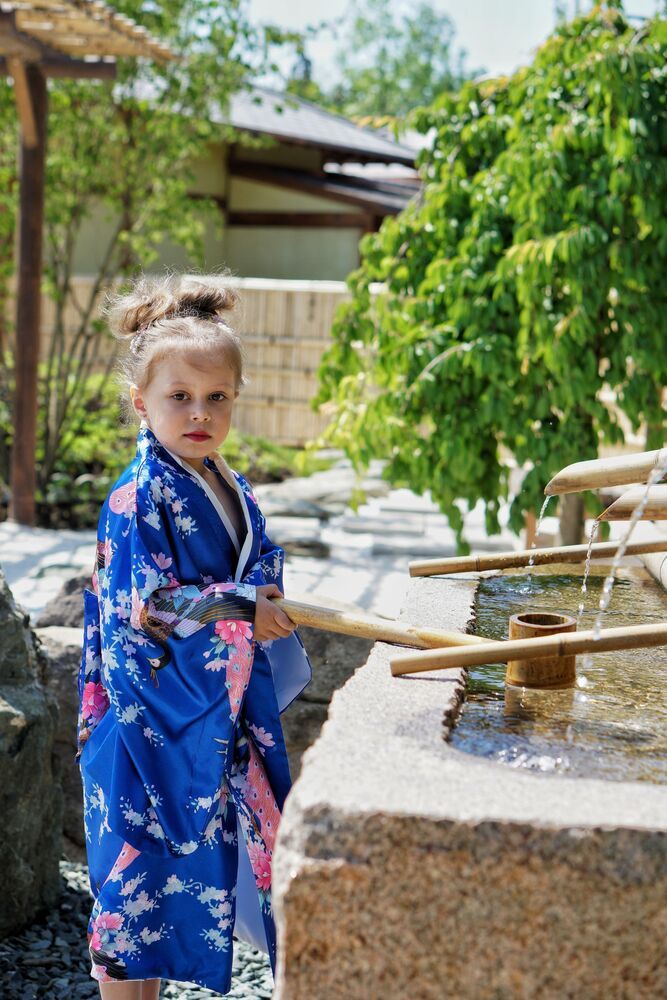Photo #10333489 (8)