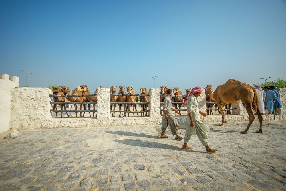Desert Symphony: Tales of Trust and Tranquility (2)