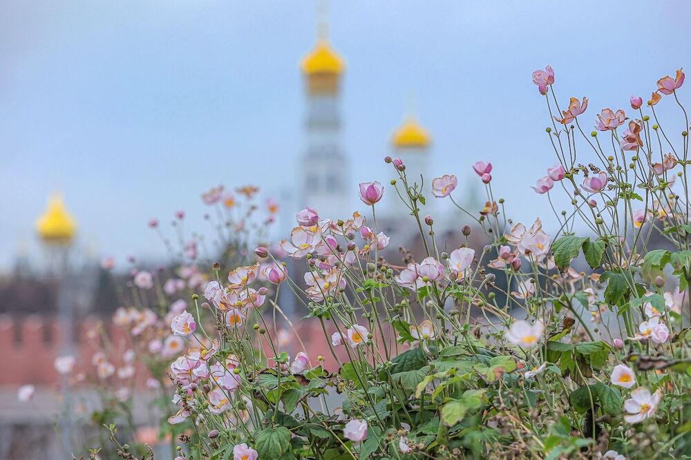 Осень в Зарядье (4)