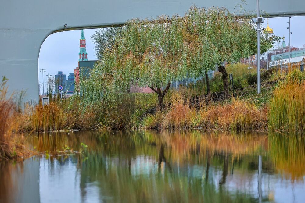 Осень в Зарядье (7)