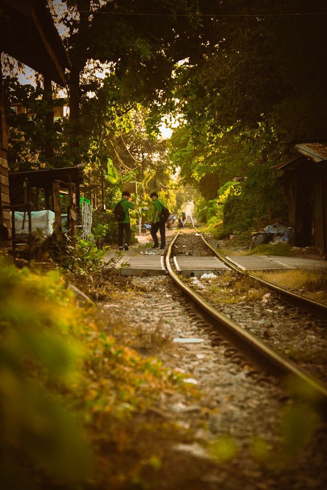 Photo #10363829 (7)