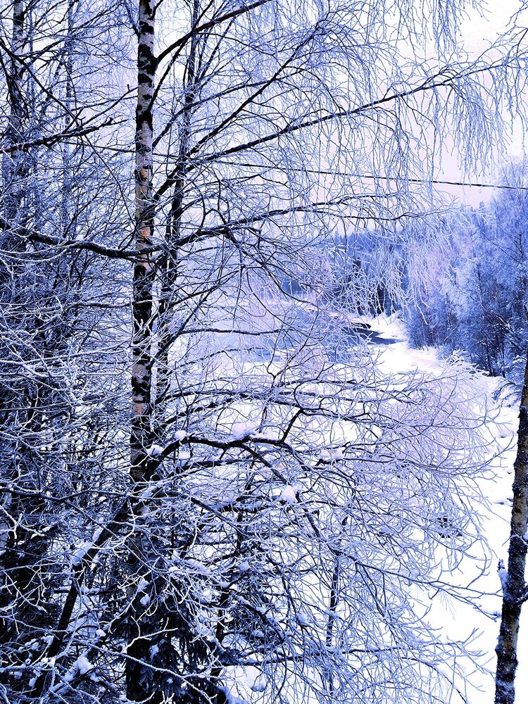 Karelia. 2023. Cold. (8)
