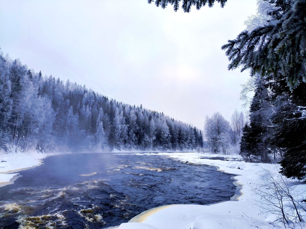 Karelia. 2023. Cold. (5)