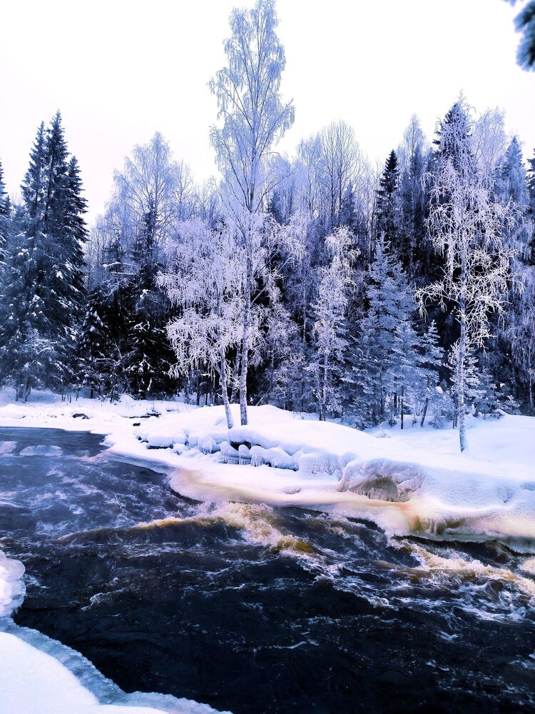 Karelia. 2023. Cold. (6)